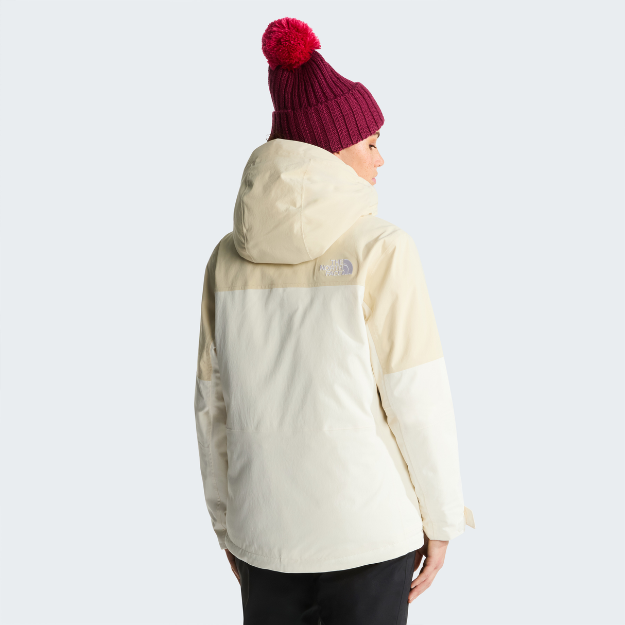 tnf_asset:NF0A8H2PJN5-ALT3