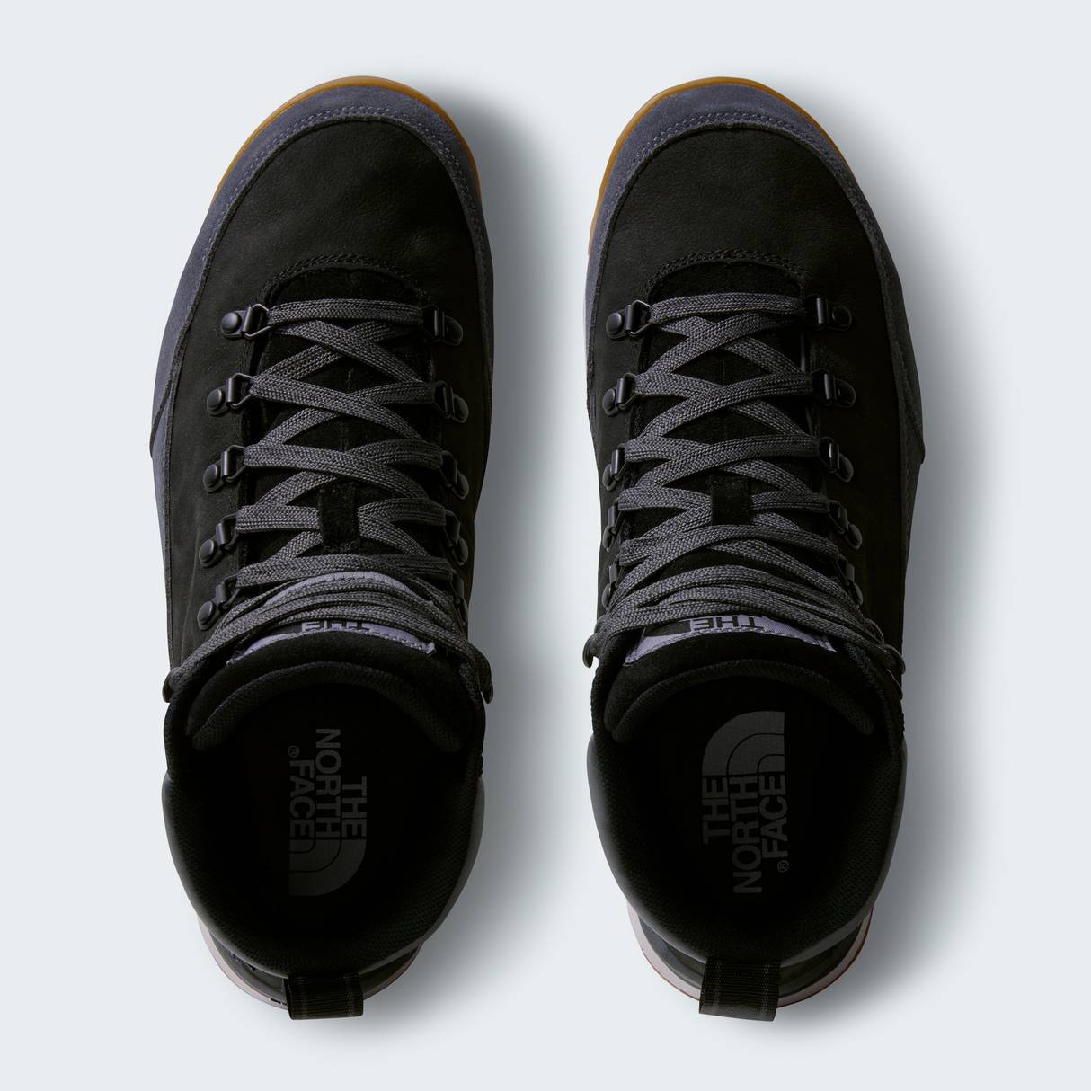 tnf_asset:NF0A817QKT0-ALT1