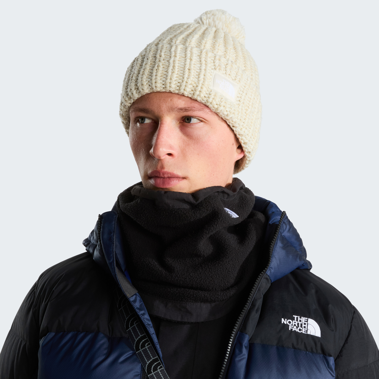tnf_asset:NF0A887W86I-ALT1
