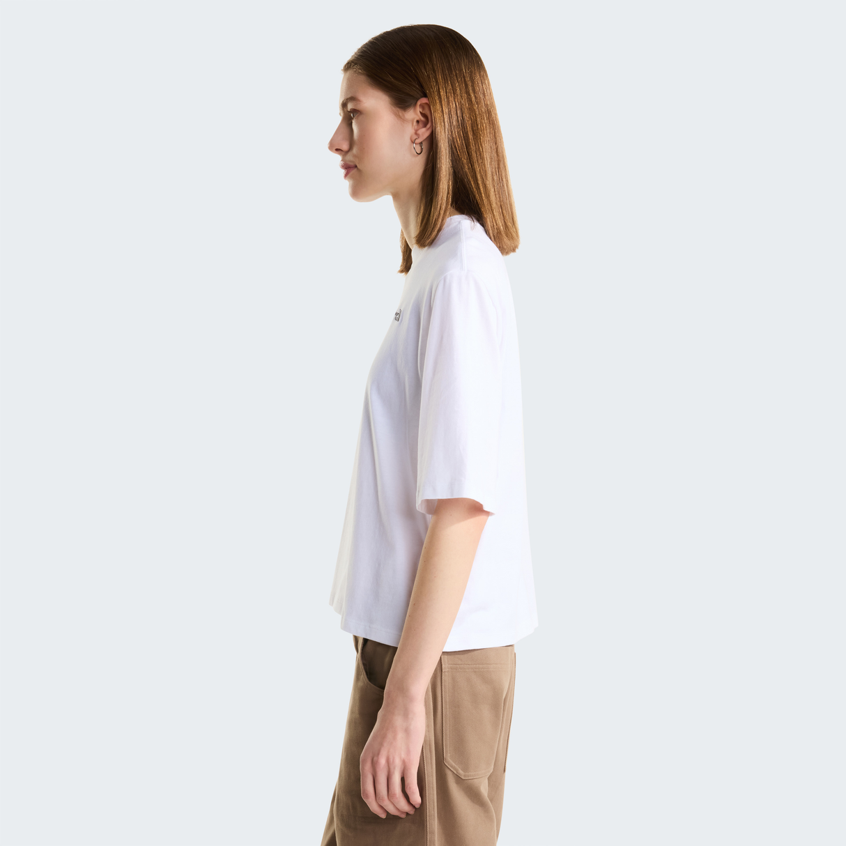 tnf_asset:NF0A8H71FN4-ALT2