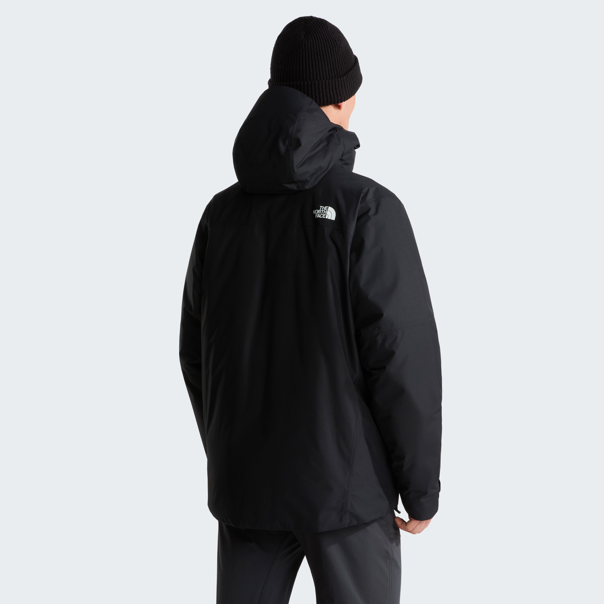 tnf_asset:NF0A8CNTJK3-ALT3