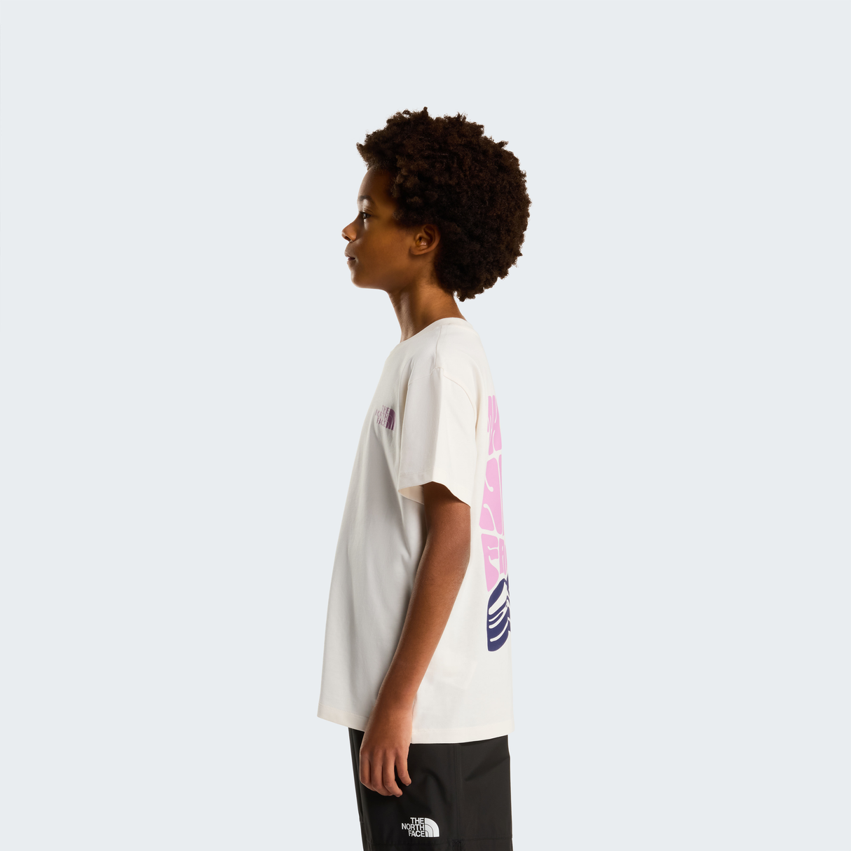 tnf_asset:NF0A8G21QLI-ALT3