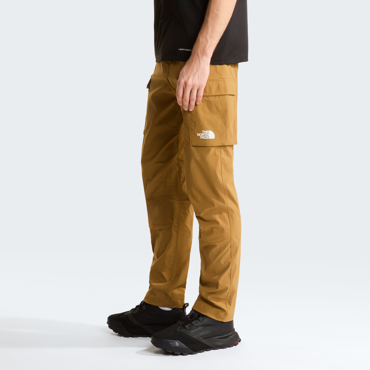 tnf_asset:NF0A8EC6173-ALT2