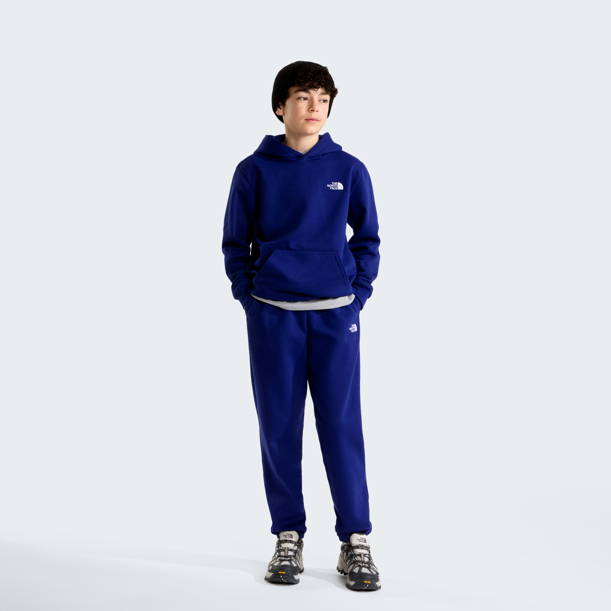 tnf_asset:NF0A8CV6NLV-ALT1