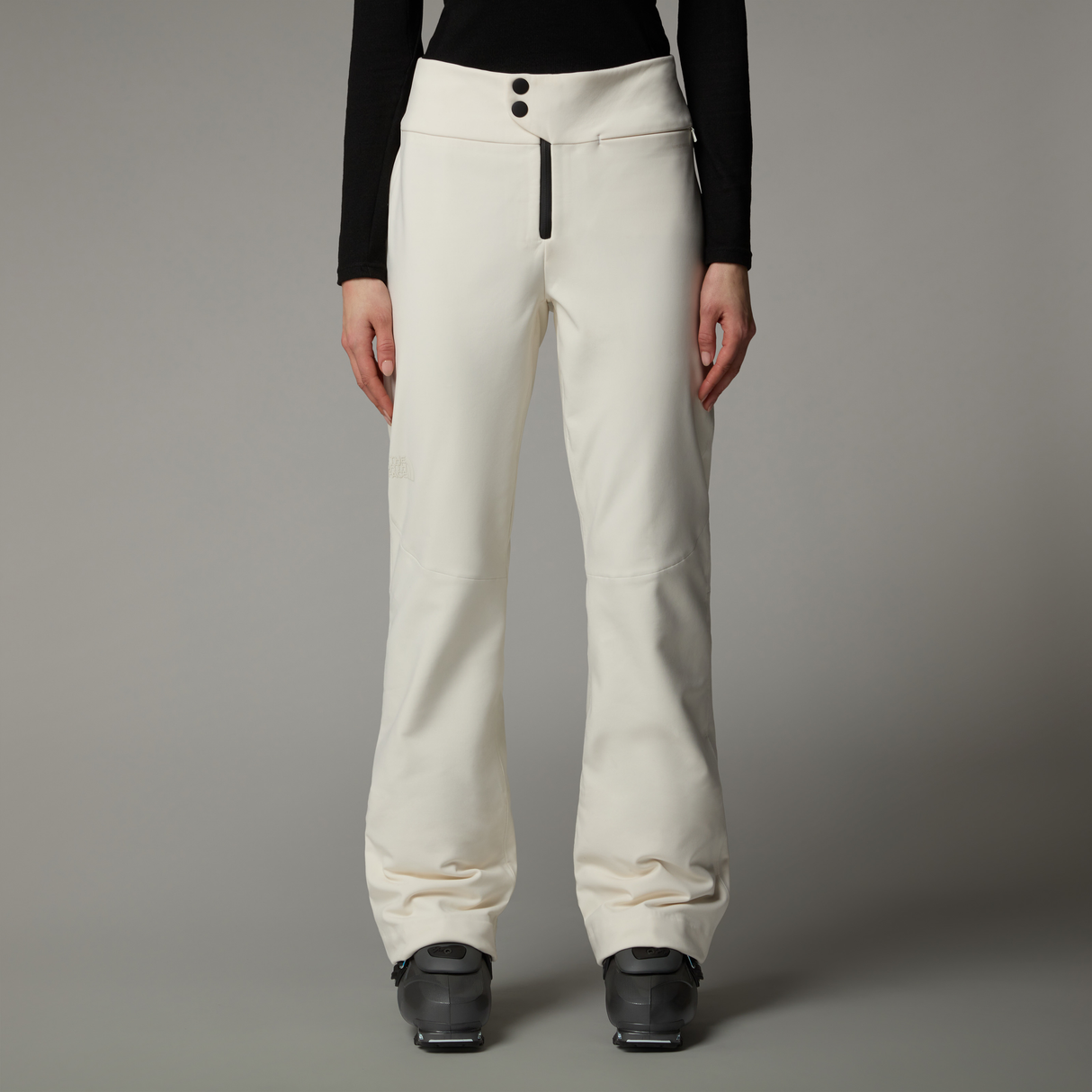 tnf_asset:NF0A87X3QLI-ALT2