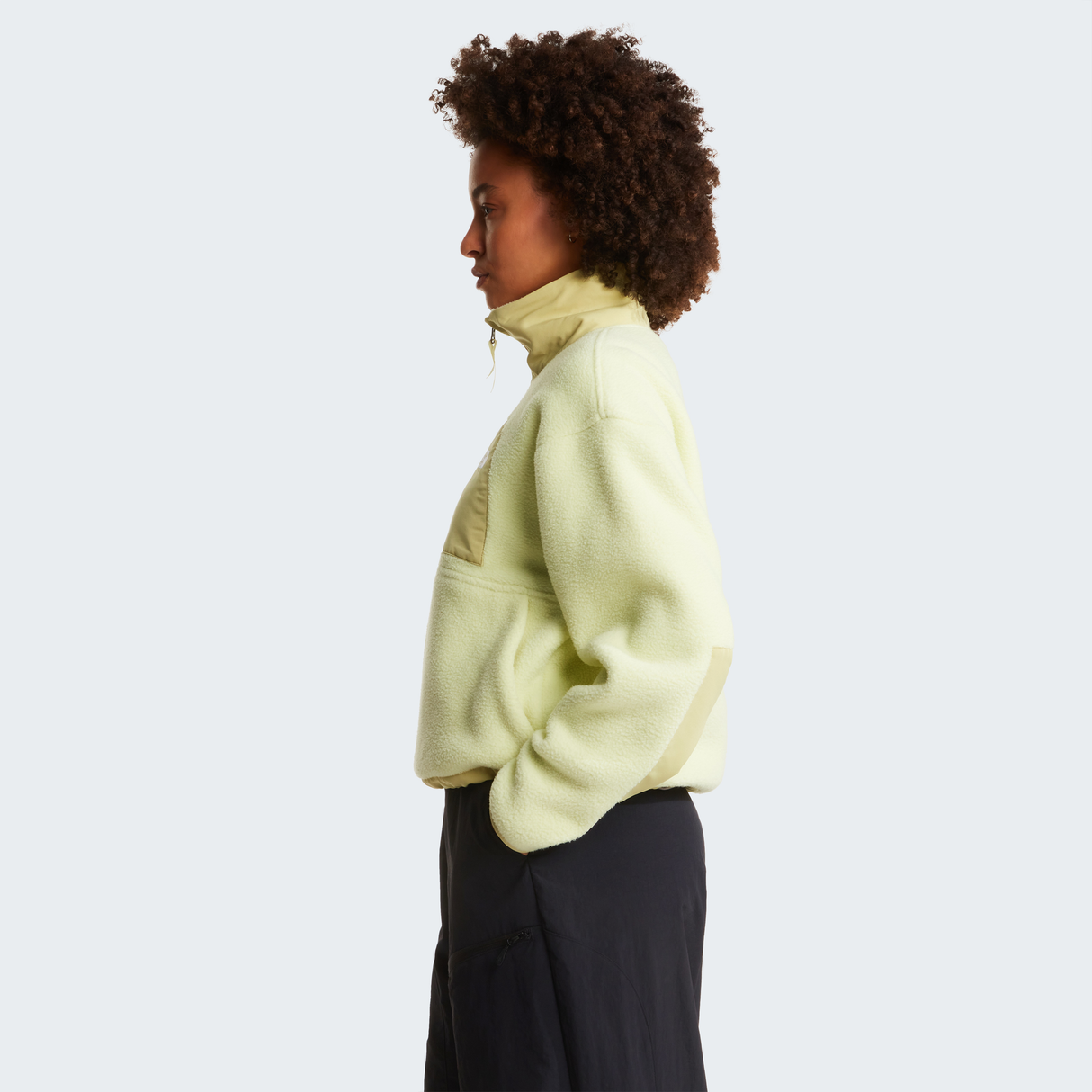 tnf_asset:NF0A8EV0GM4-ALT2