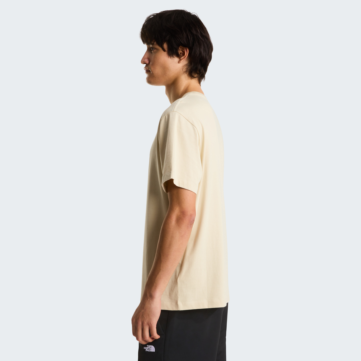 tnf_asset:NF0A8GQEDOM-ALT2
