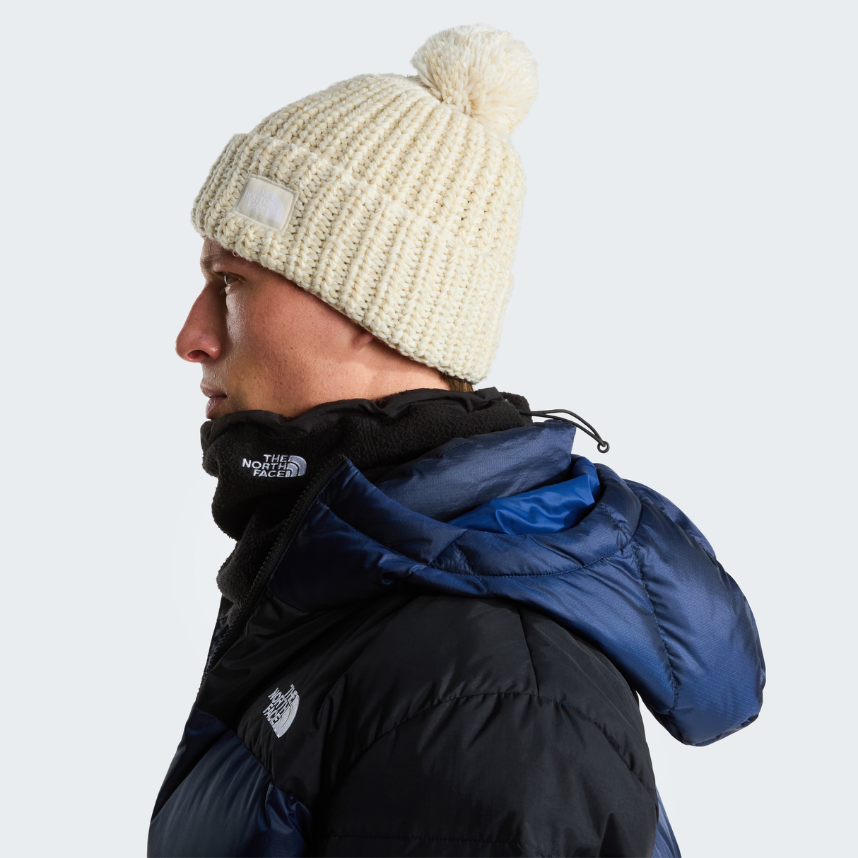 tnf_asset:NF0A887W86I-ALT3