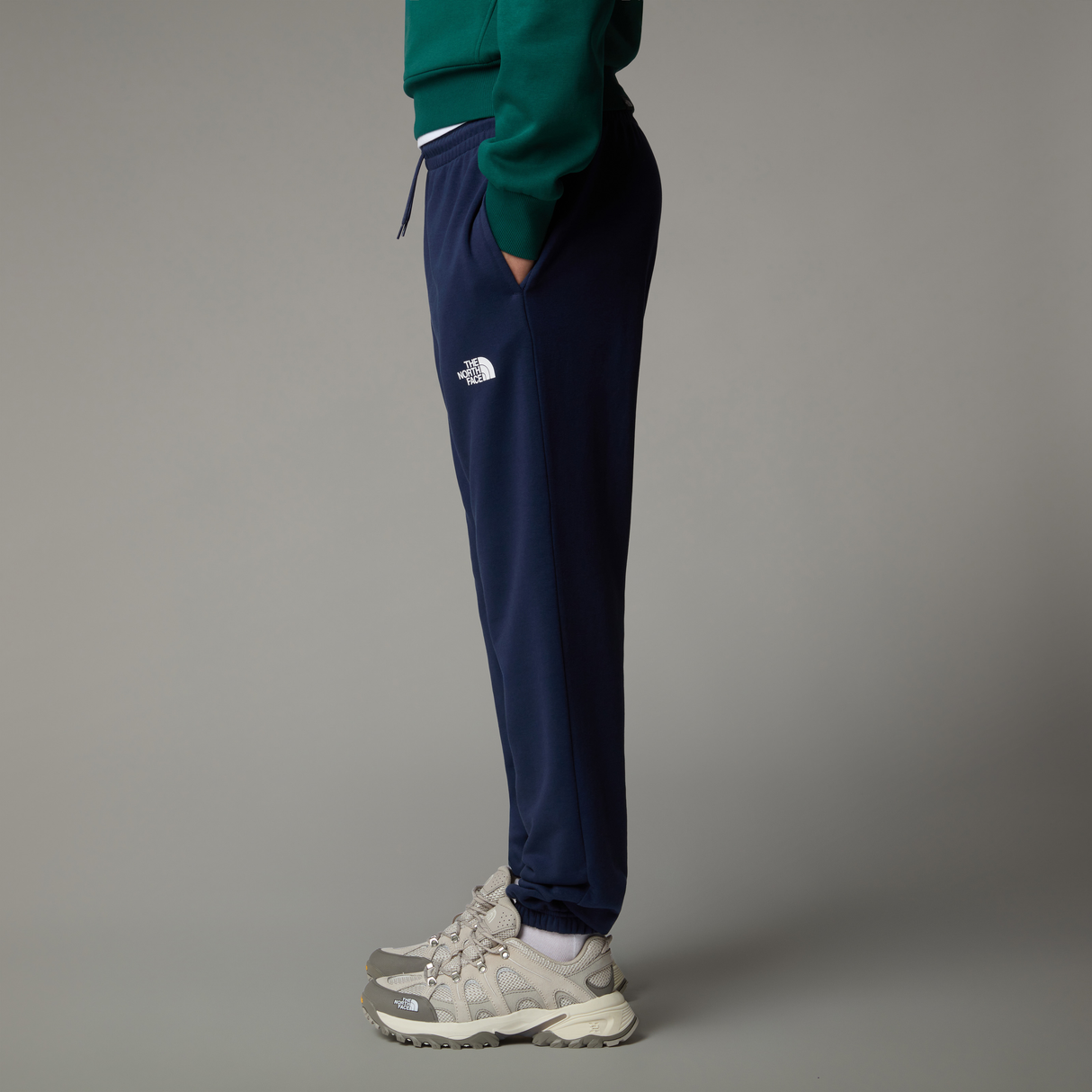 tnf_asset:NF0A8C418K2-ALT2