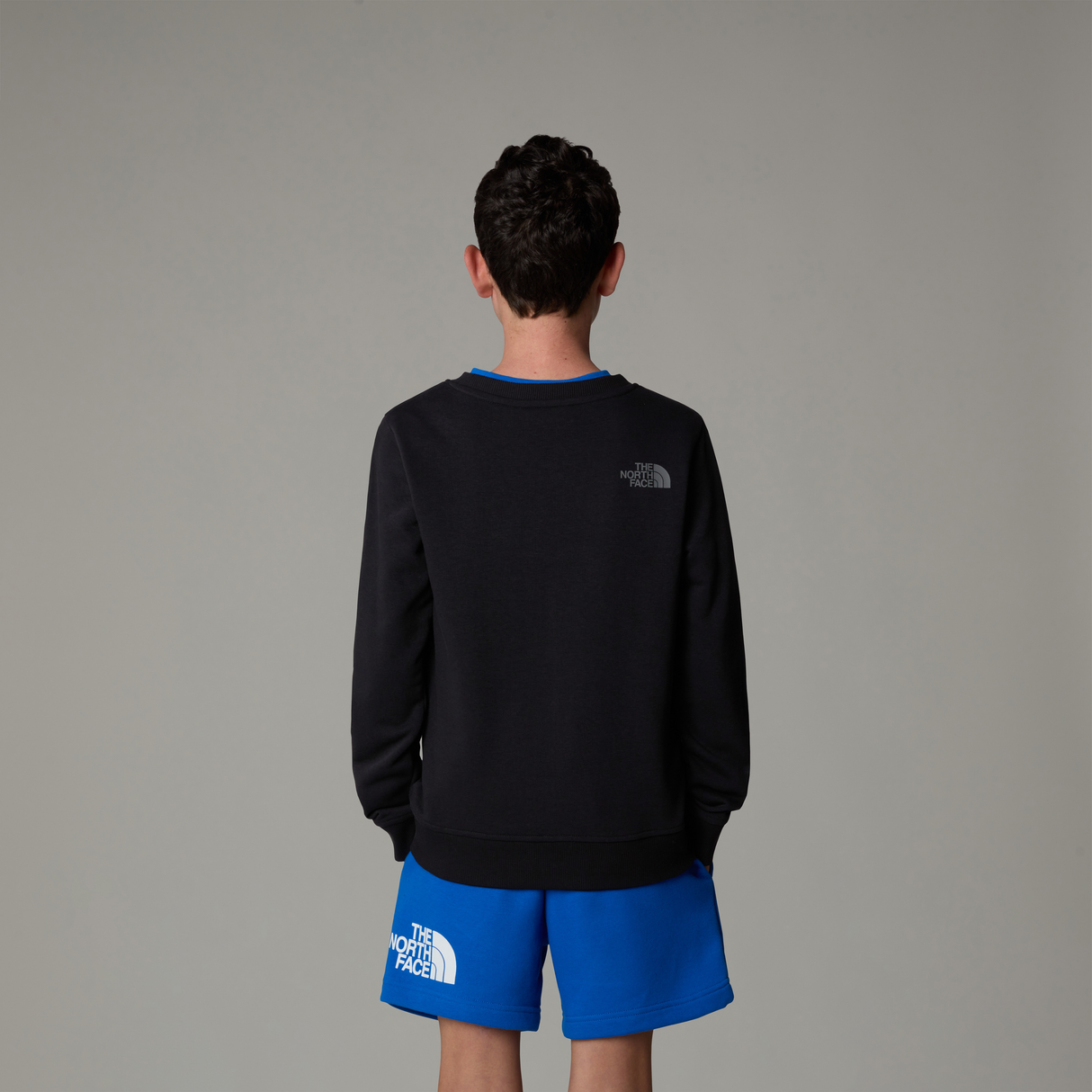 tnf_asset:NF0A8AXXJK3-ALT2