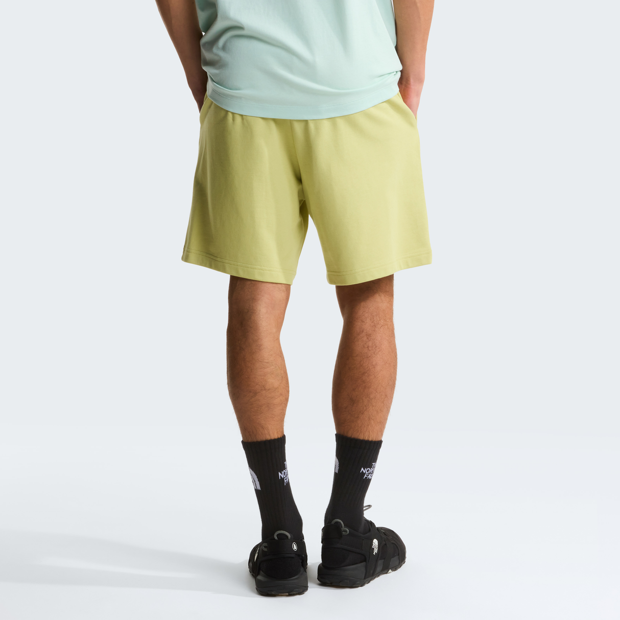 tnf_asset:NF0A8GQ9G73-ALT3
