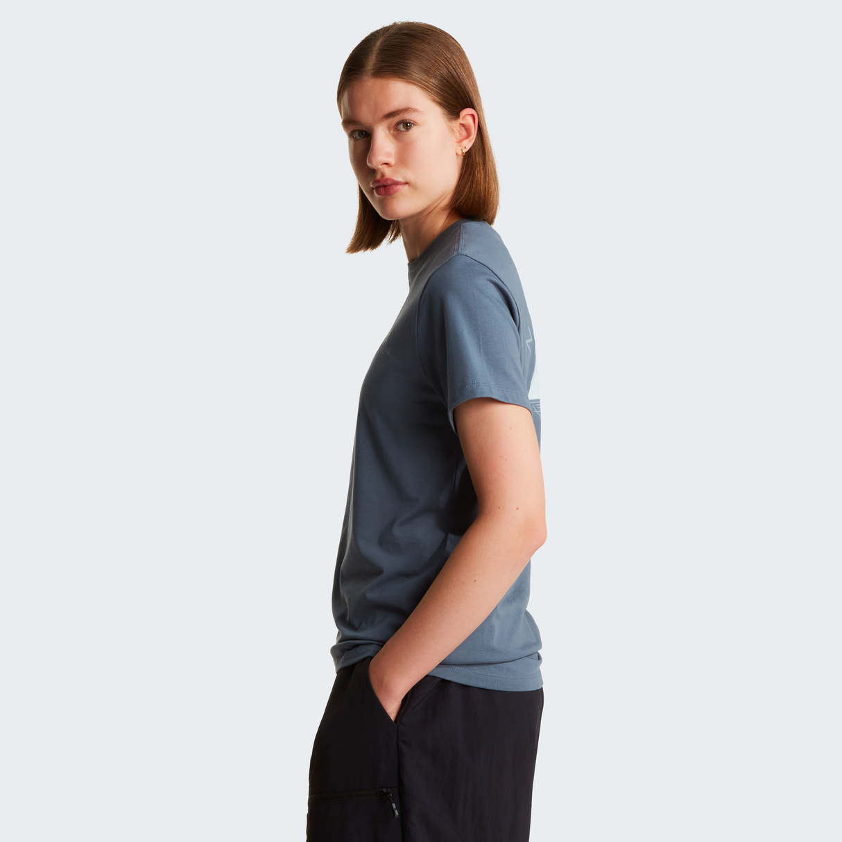 tnf_asset:NF0A8GA90U3-ALT3