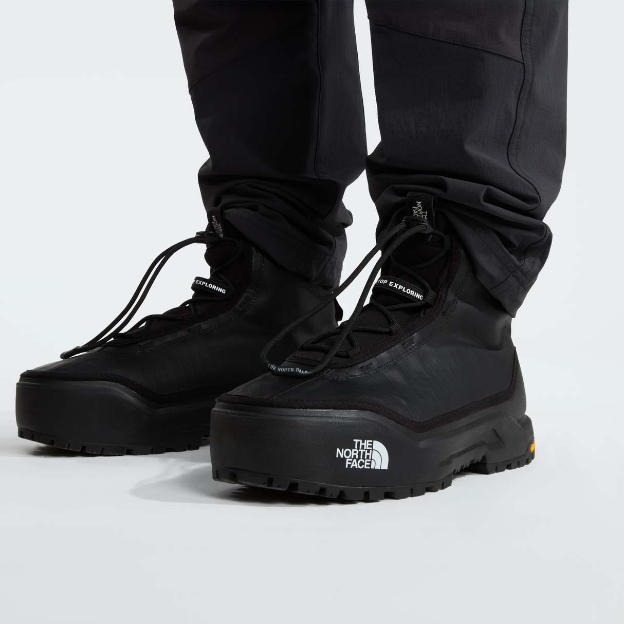 tnf_asset:NF0A8D9FKX7-ALT2