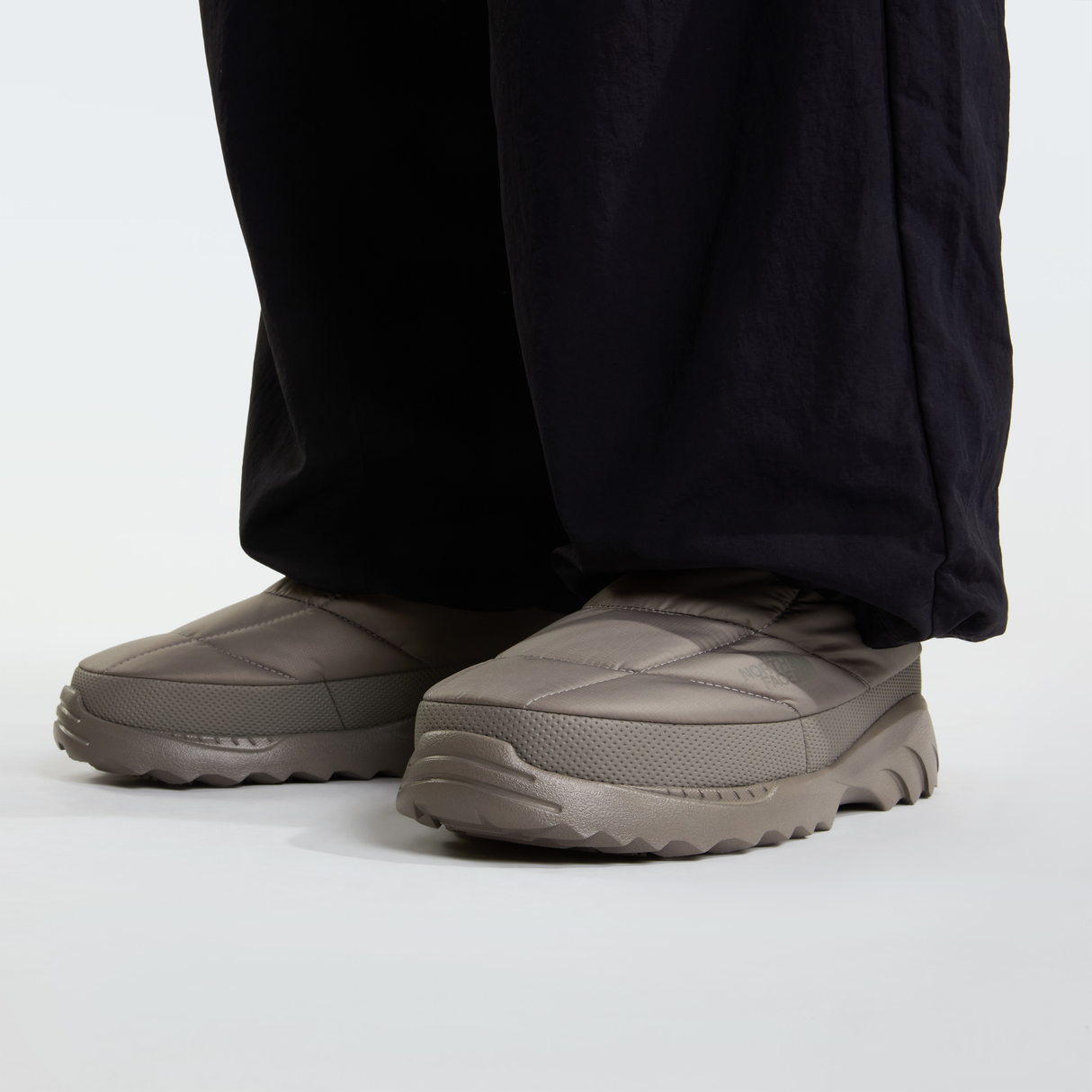 tnf_asset:NF0A8DAA7LY-ALT2