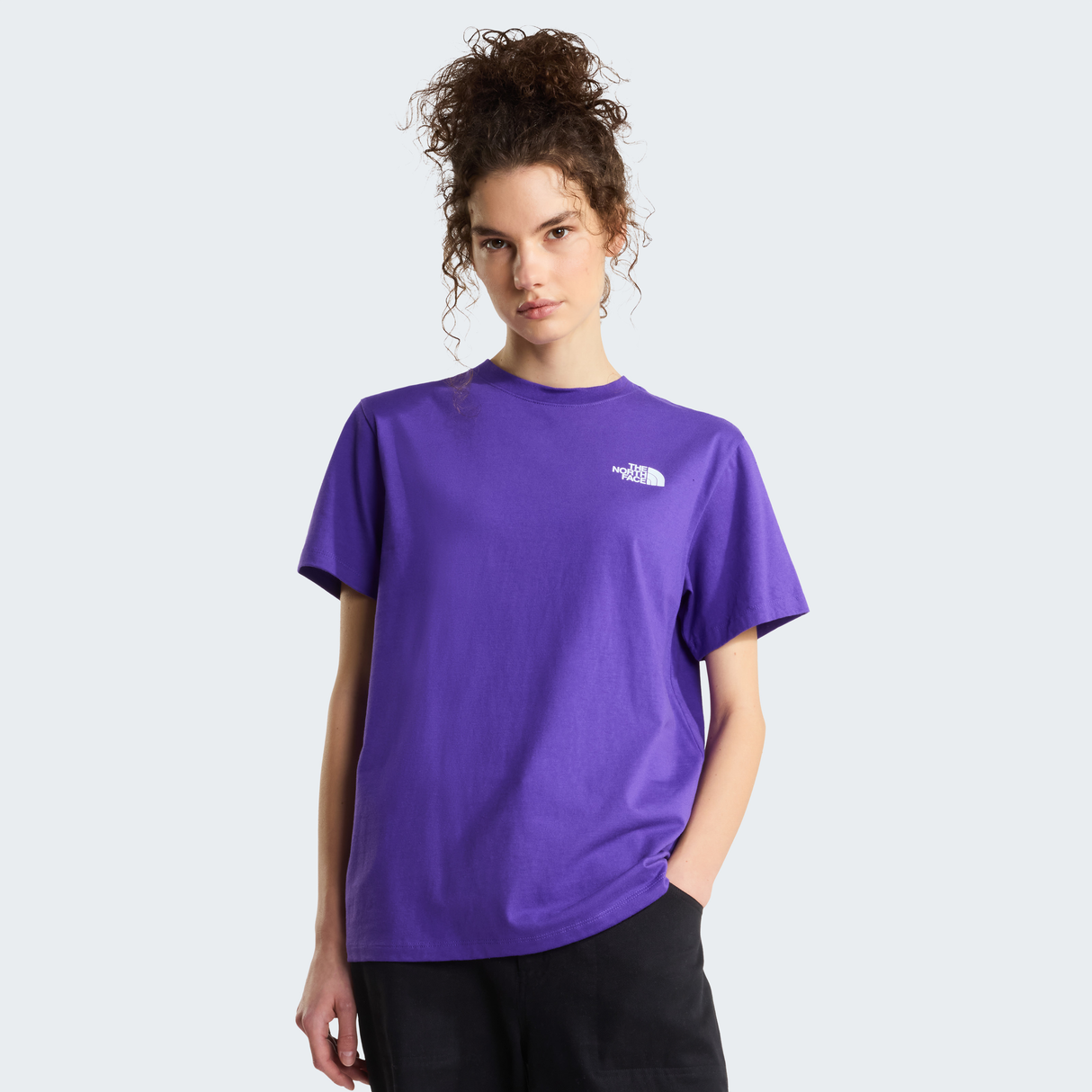 tnf_asset:NF0A8JSDNL4-ALT1
