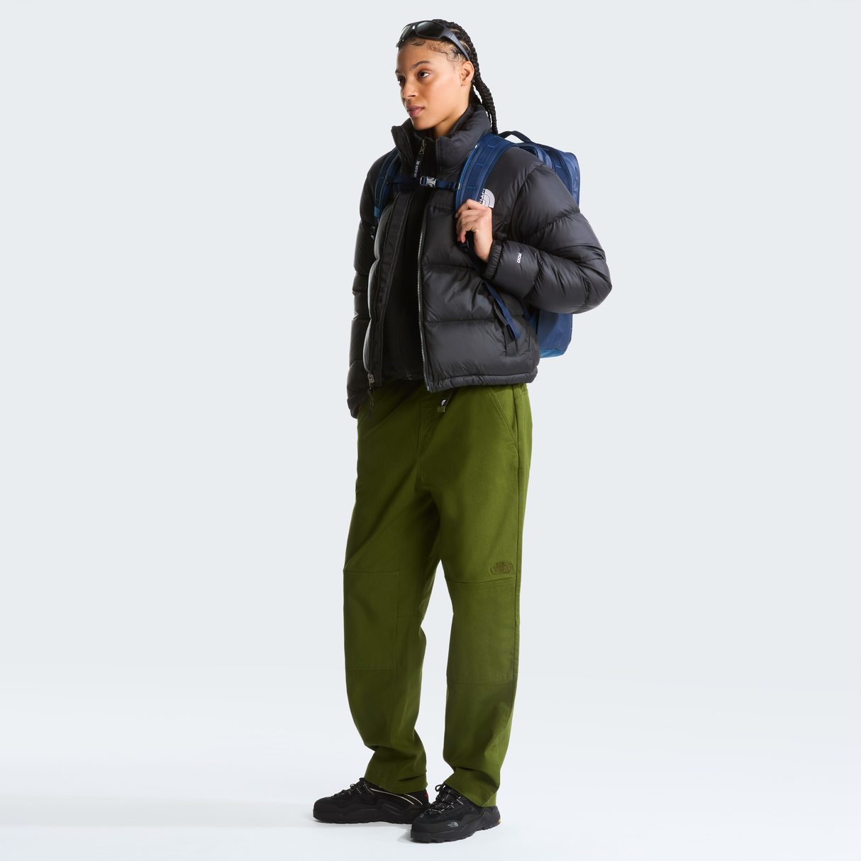 tnf_asset:NF0A8B61BRI-ALT1
