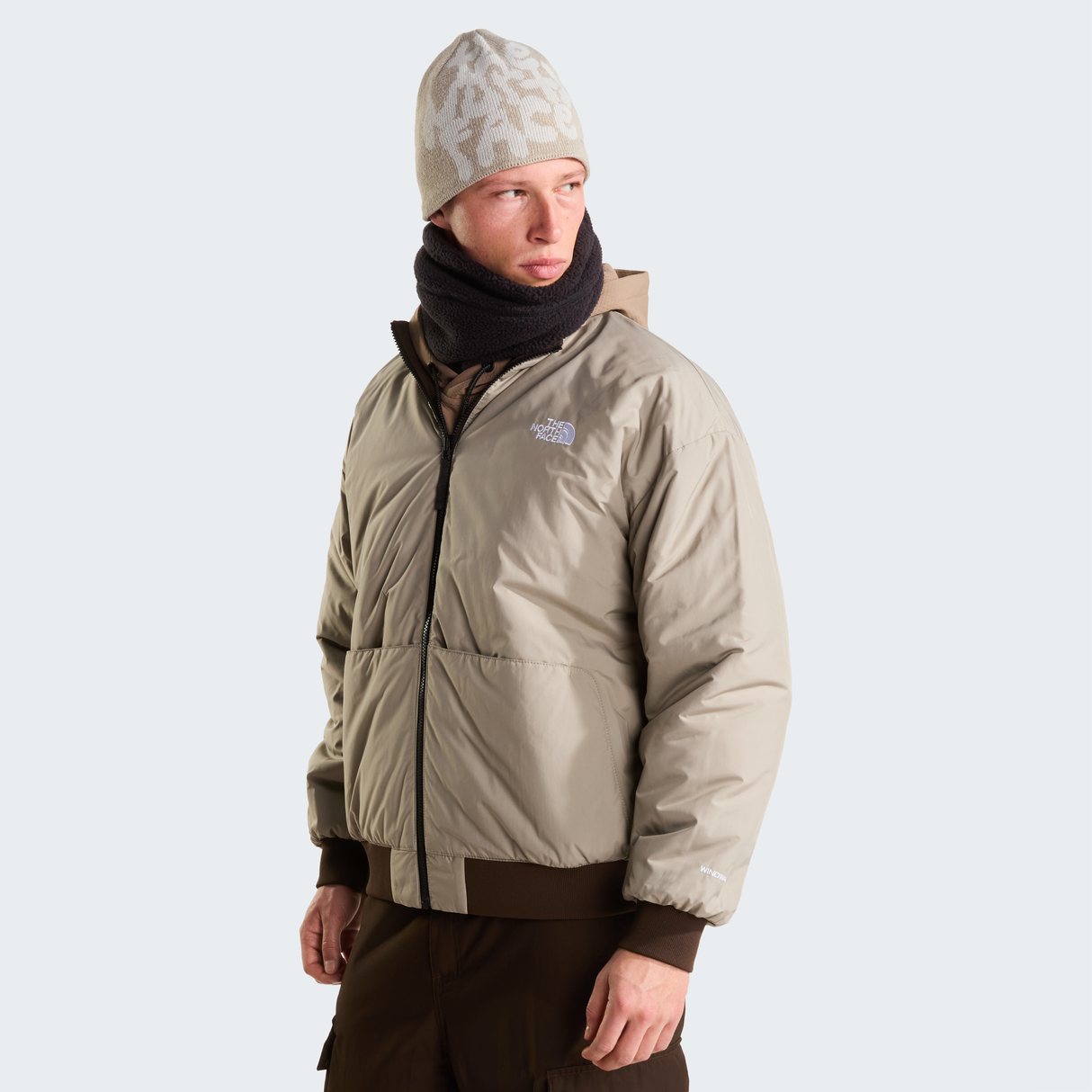 tnf_asset:NF0A8H2CSM6-ALT1