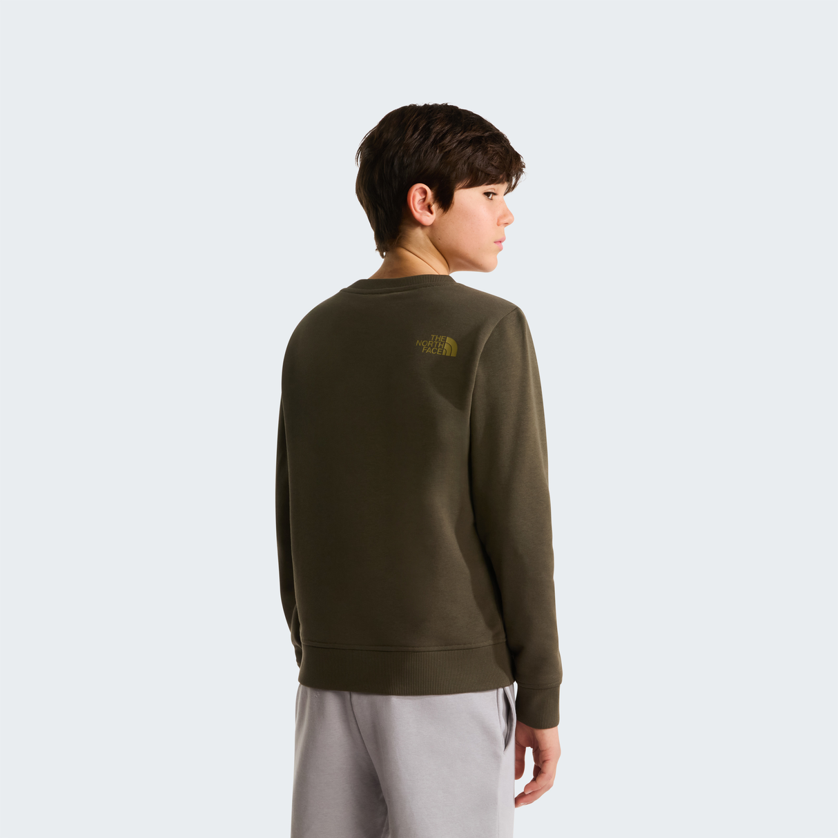 tnf_asset:NF0A8AXX21L-ALT3