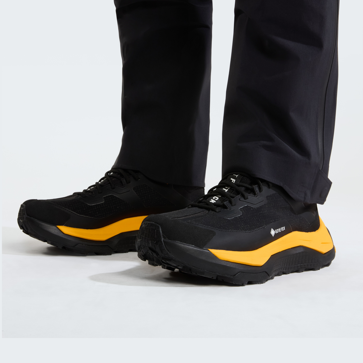 tnf_asset:NF0A8D9UAGG-ALT2