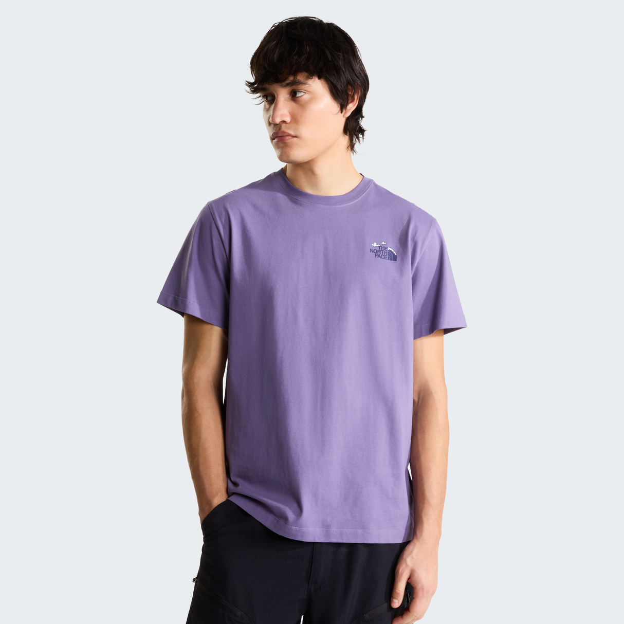 tnf_asset:NF0A8JPQNNK-ALT2