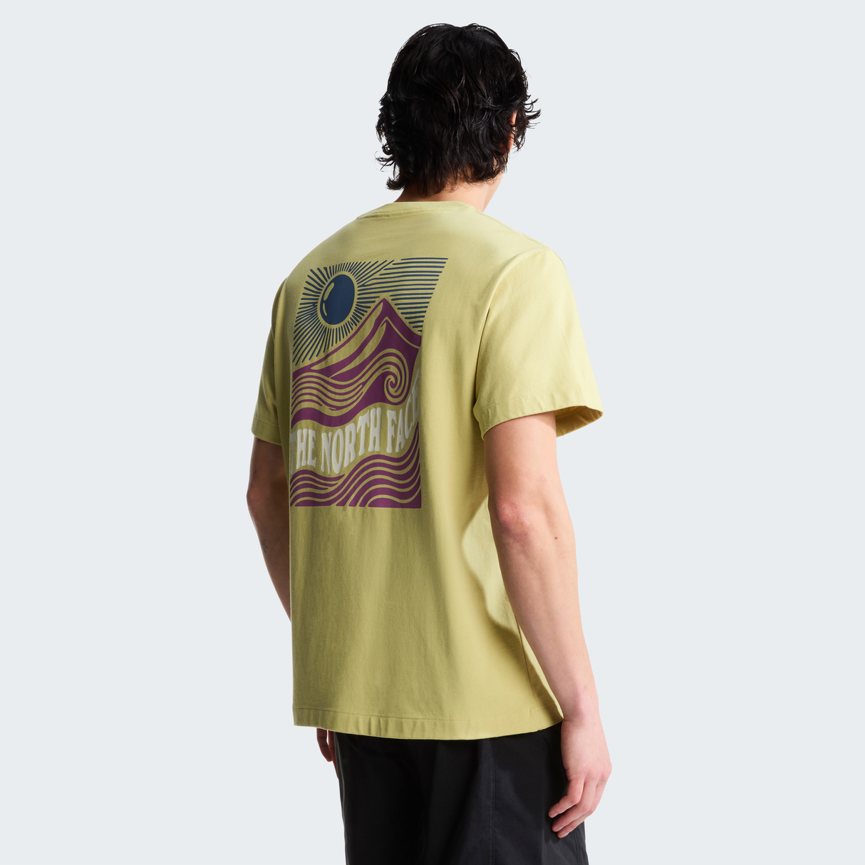 tnf_asset:NF0A8GB1G73-ALT2