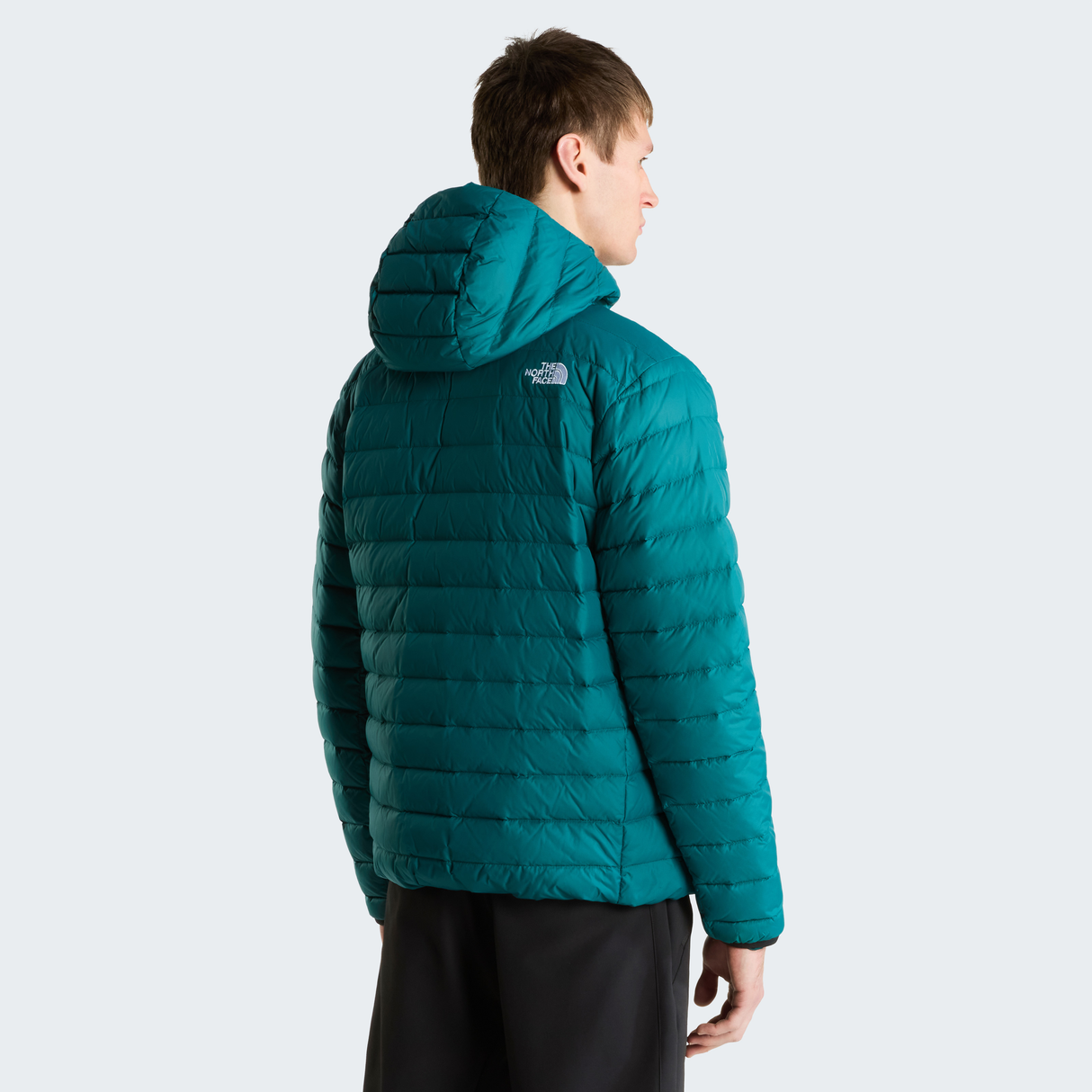 tnf_asset:NF0A8D1TN4J-ALT3