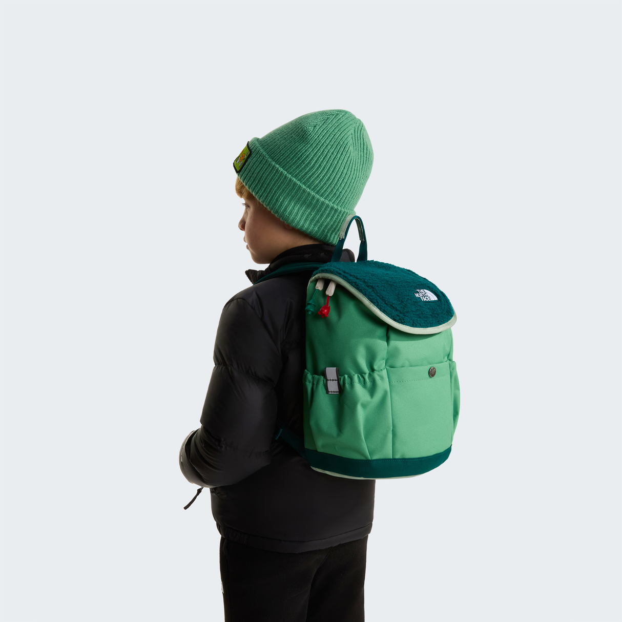 tnf_asset:NF0A52VWZT0-ALT2