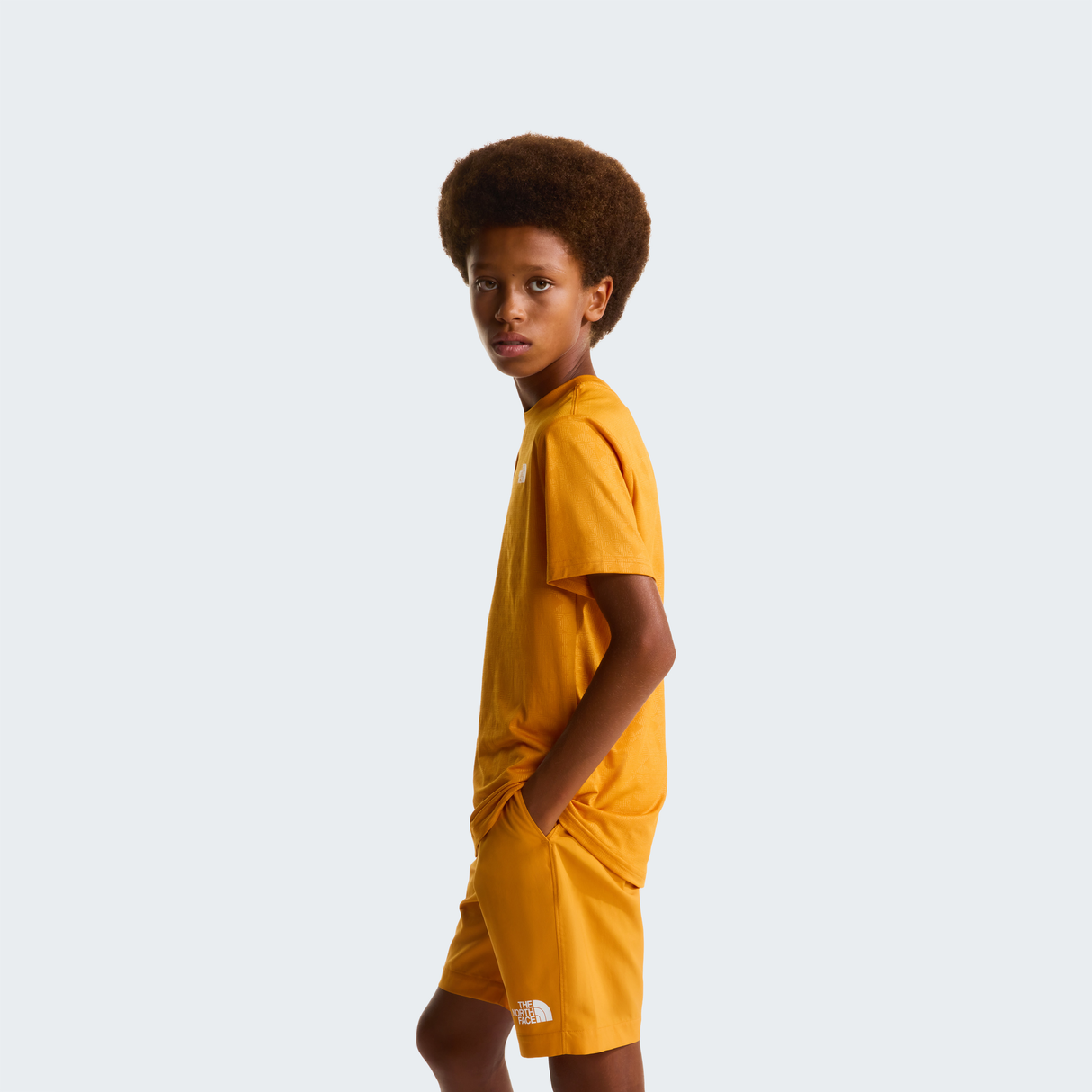 tnf_asset:NF0A8FYZG5I-ALT2