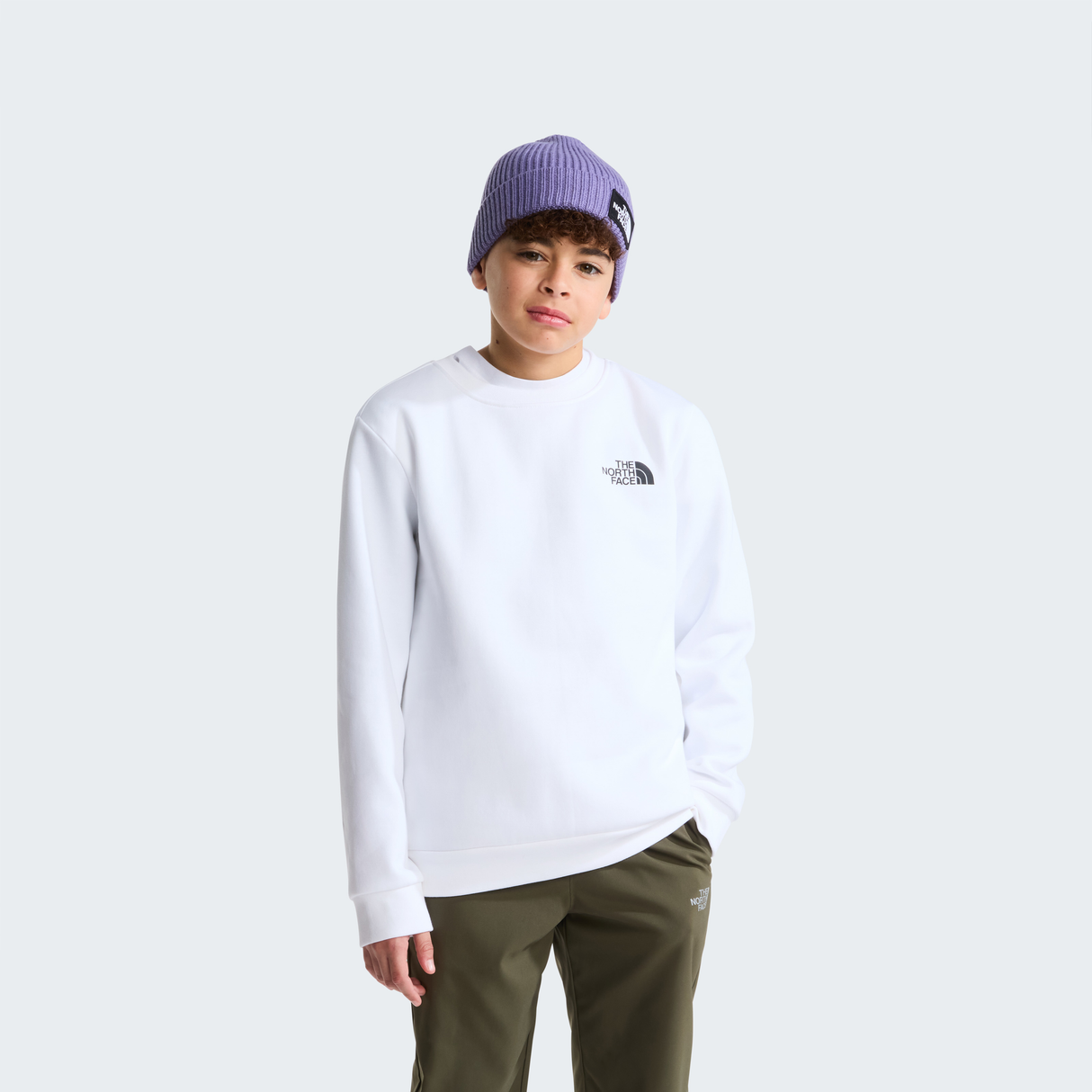 tnf_asset:NF0A8F9WFN4-ALT1