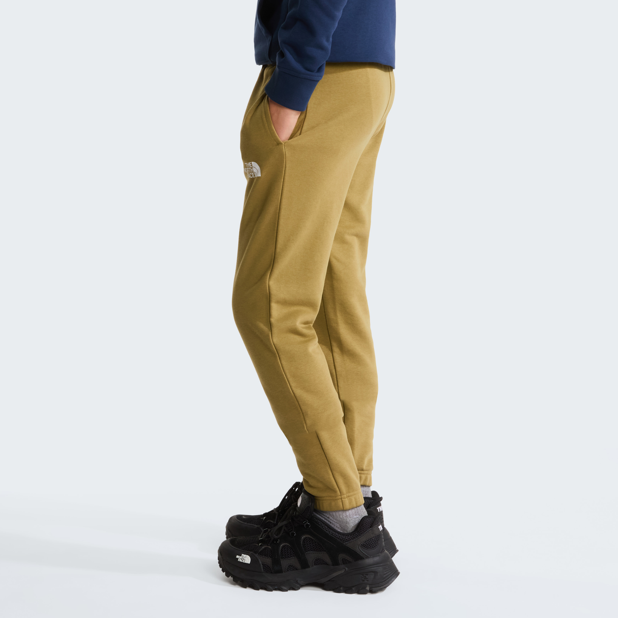 tnf_asset:NF0A8GR62EL-ALT2