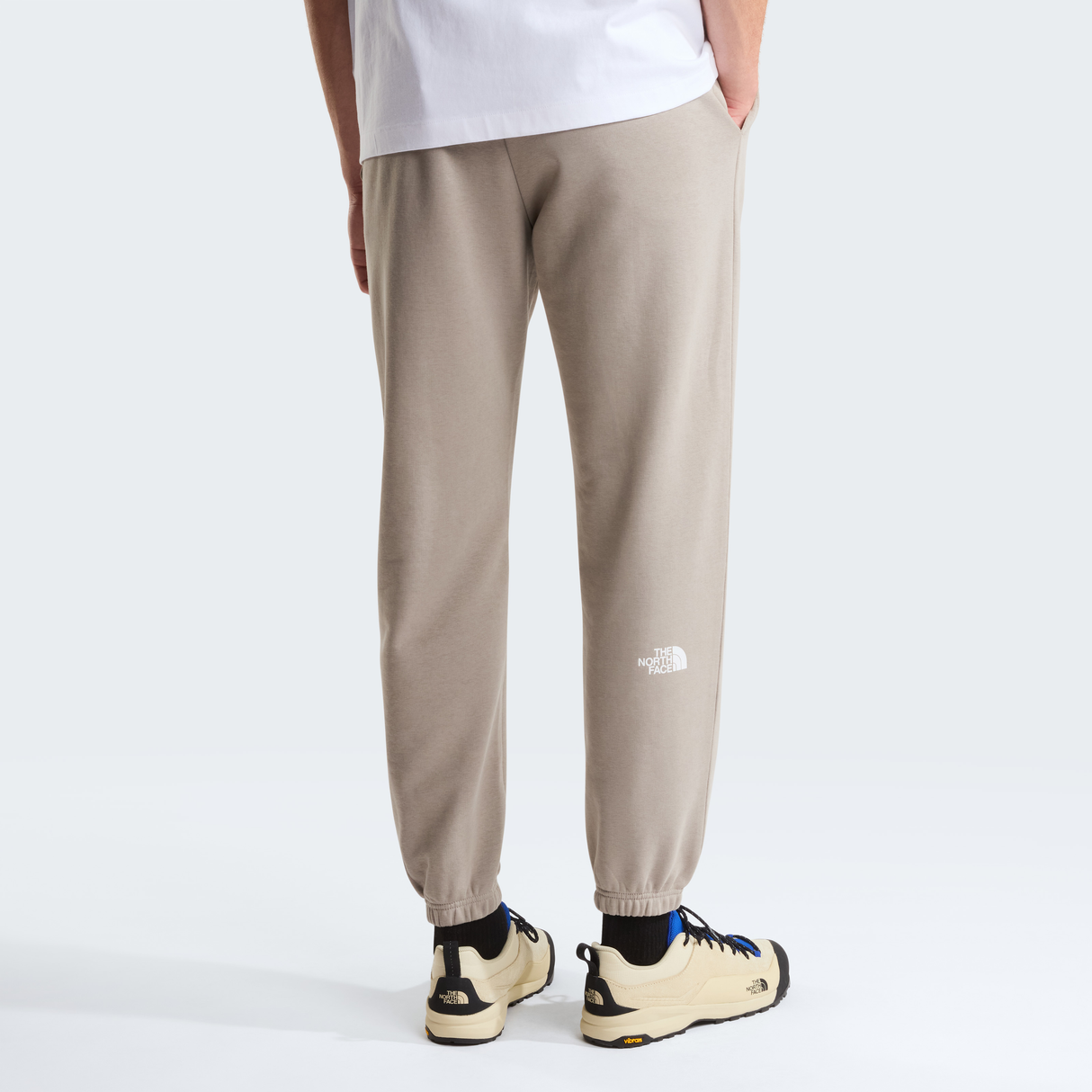 tnf_asset:NF0A8C412MB-ALT3