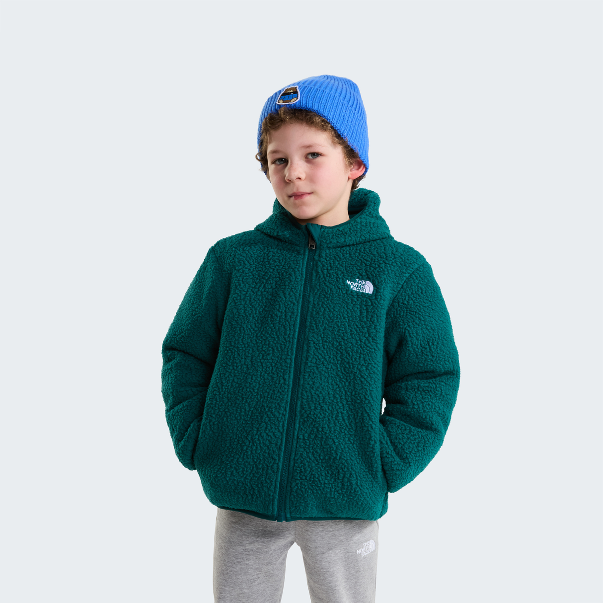tnf_asset:NF0A88VHSHE-ALT1