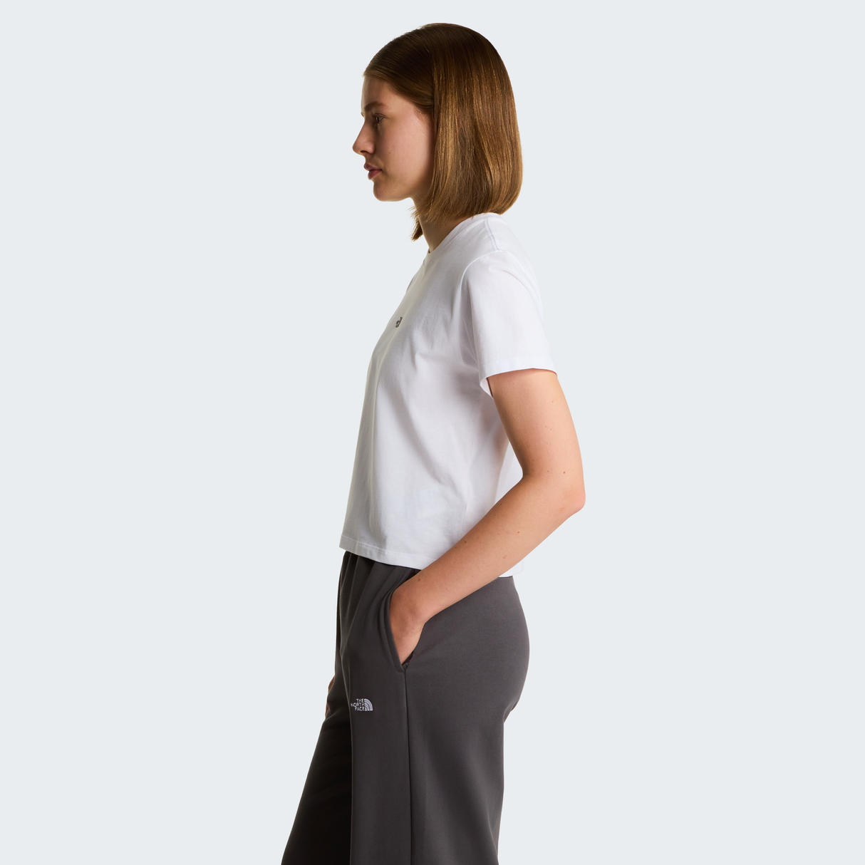 tnf_asset:NF0A8GR1FN4-ALT2