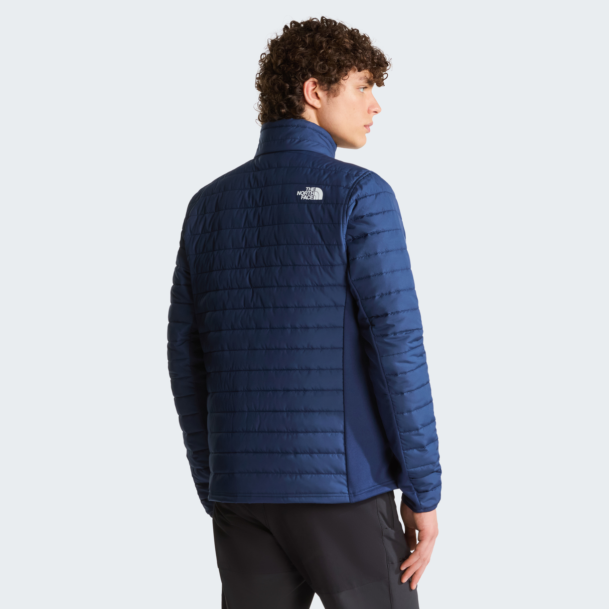 tnf_asset:NF0A7UJK8K2-ALT3