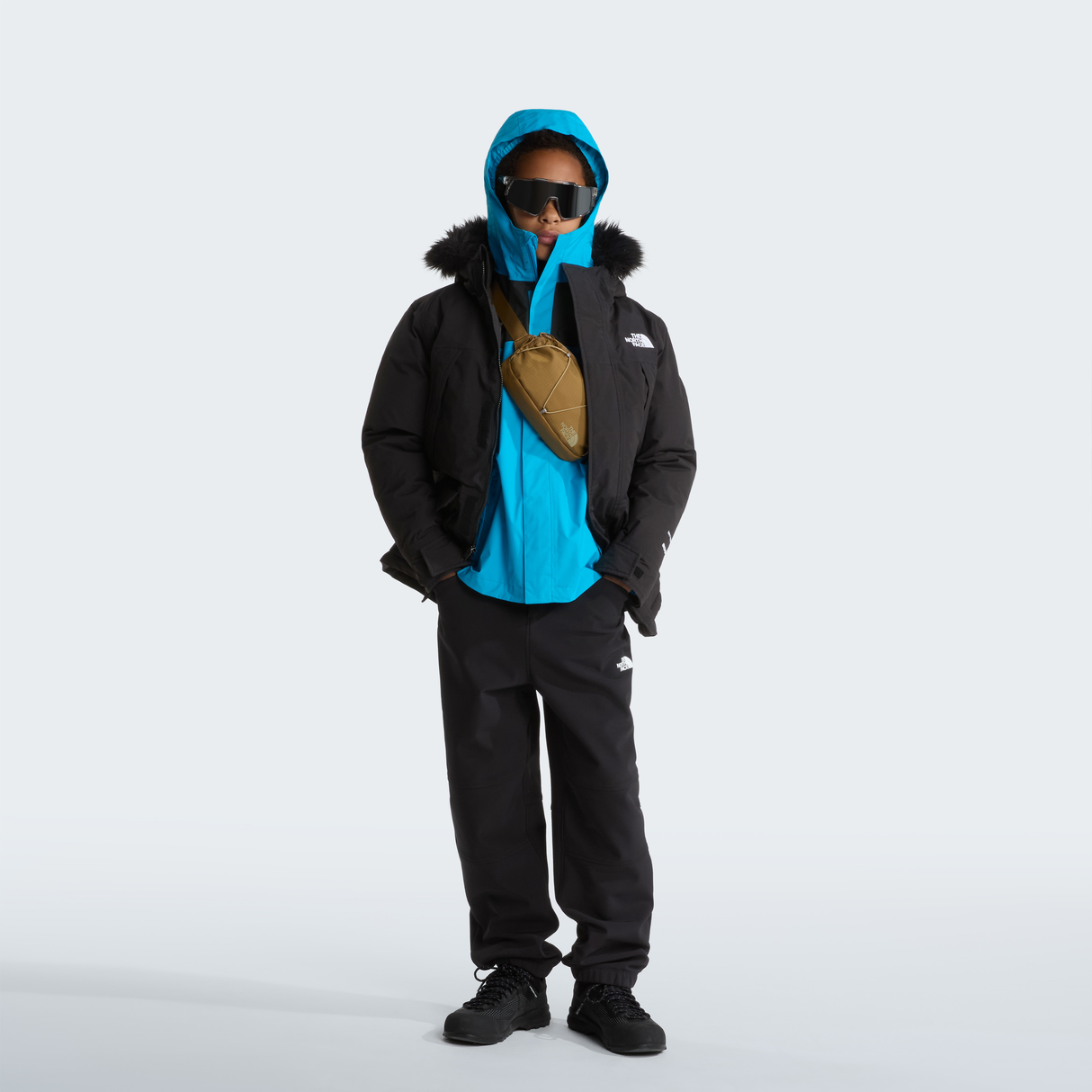 tnf_asset:NF0A8A2ZJK3-ALT1