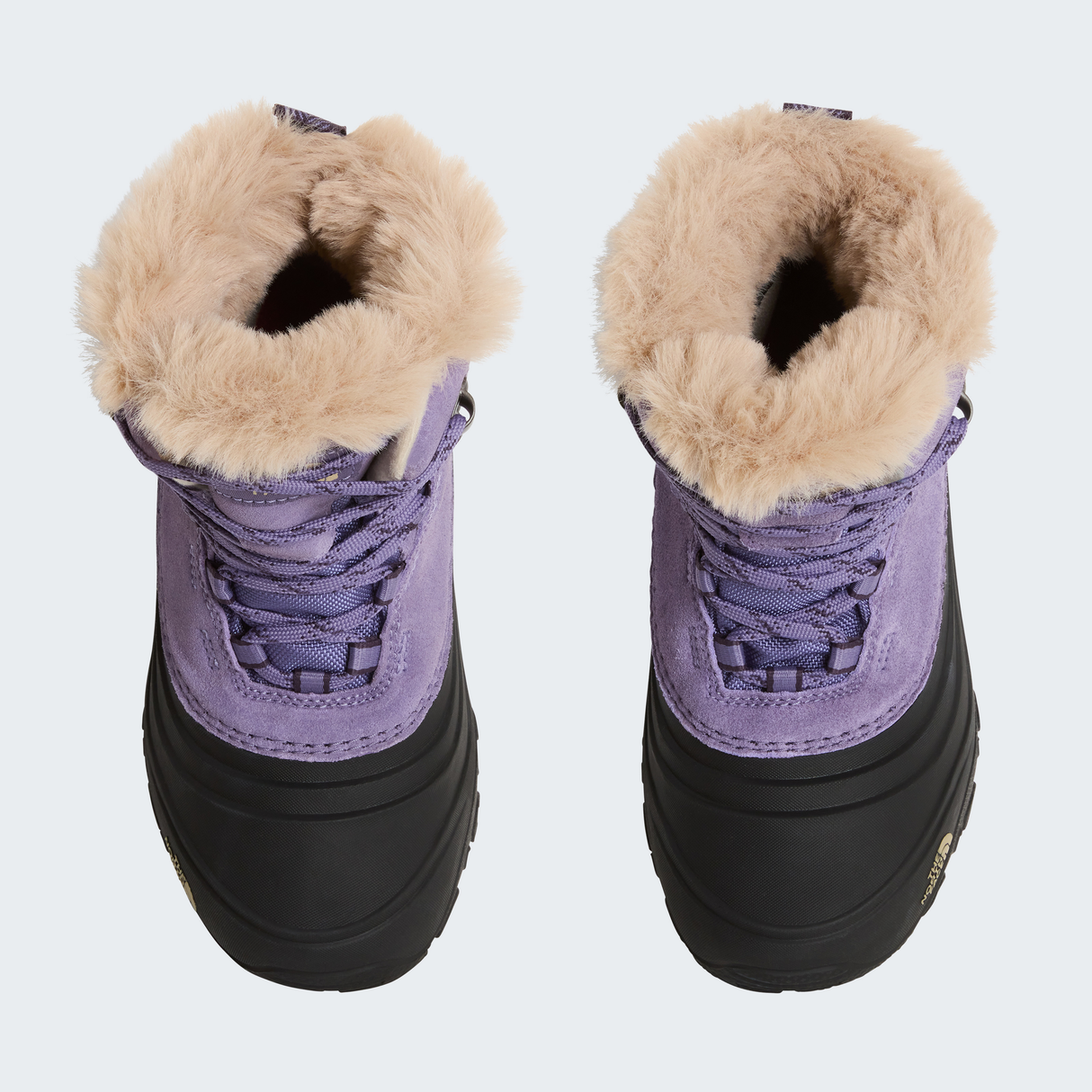 tnf_asset:NF0A7W5XS63-ALT1