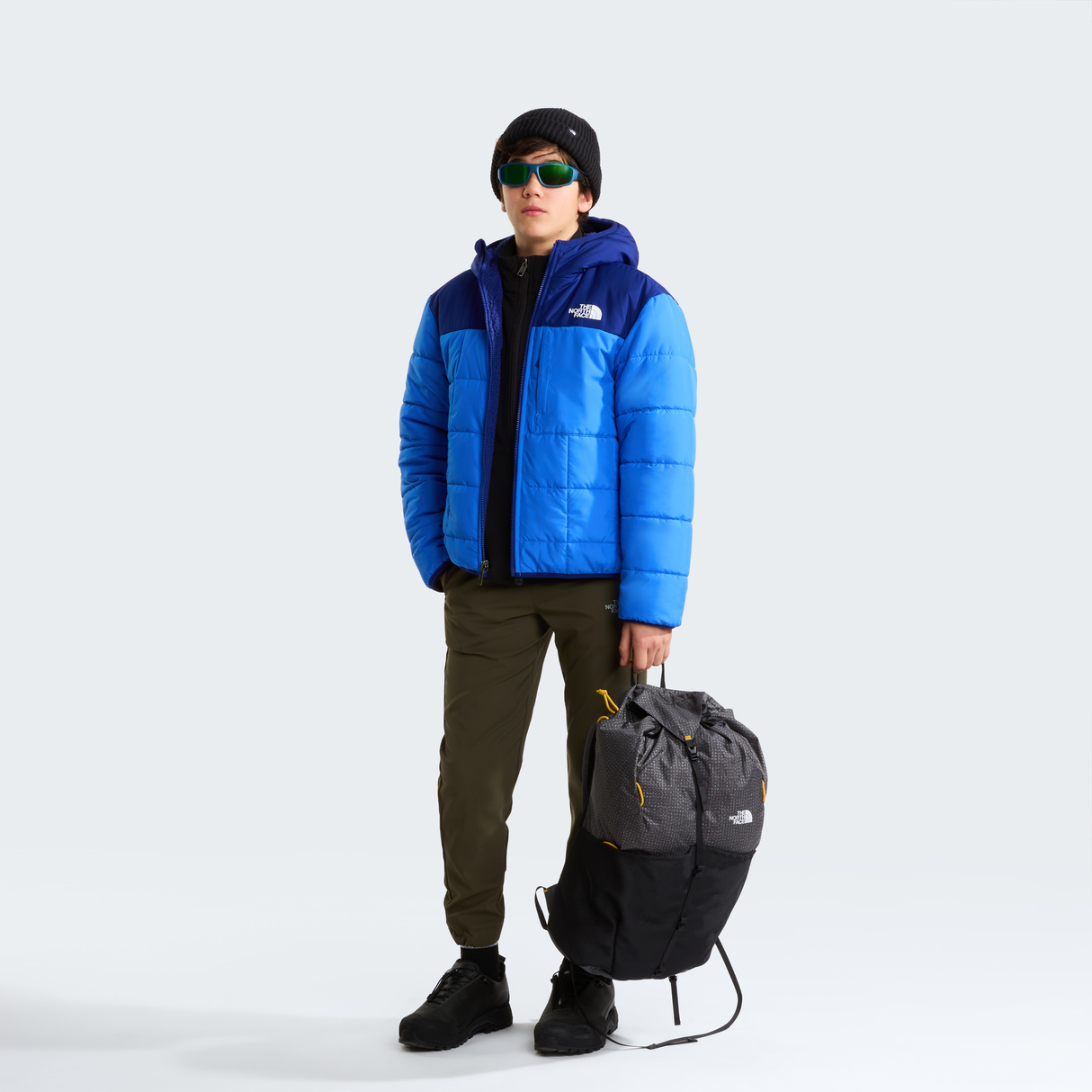 tnf_asset:NF0A88TPRC7-ALT2