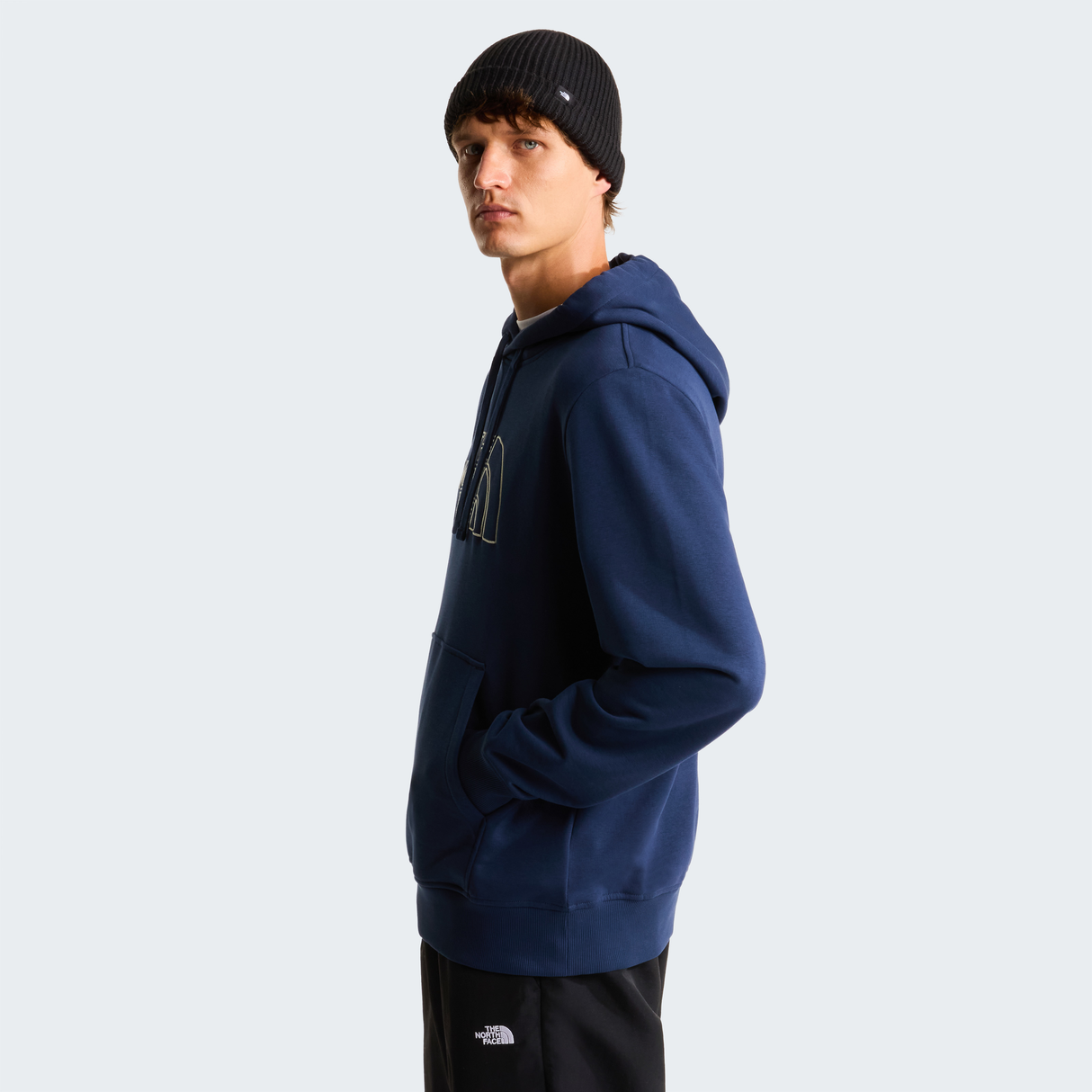 tnf_asset:NF0A8C1BMV0-ALT2