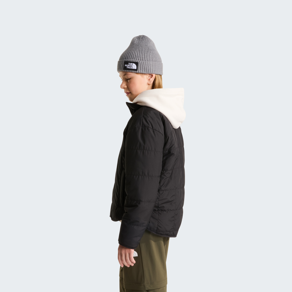 tnf_asset:NF0A88UCJK3-ALT3