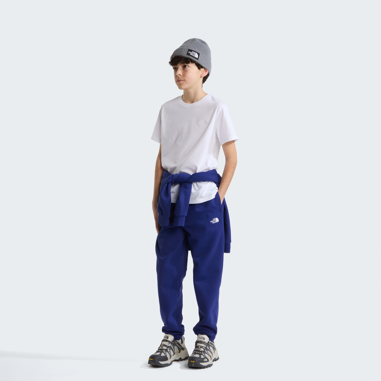 tnf_asset:NF0A8F9ZFN4-ALT1