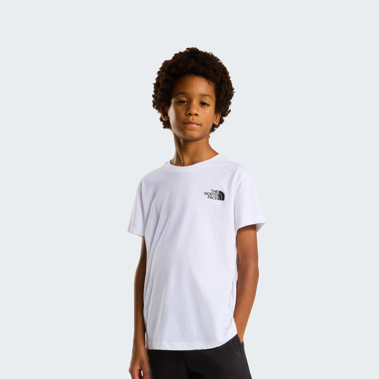 tnf_asset:NF0A8EFNFN4-ALT1