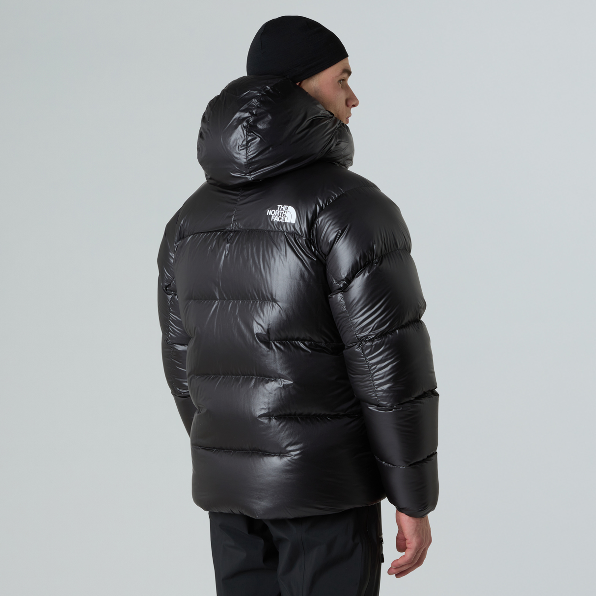 tnf_asset:NF0A8C90JK3-ALT2