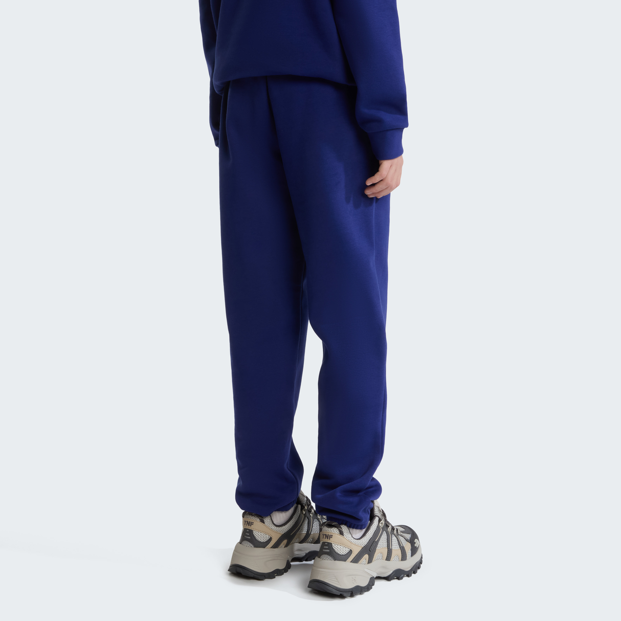 tnf_asset:NF0A8CVDNLV-ALT3