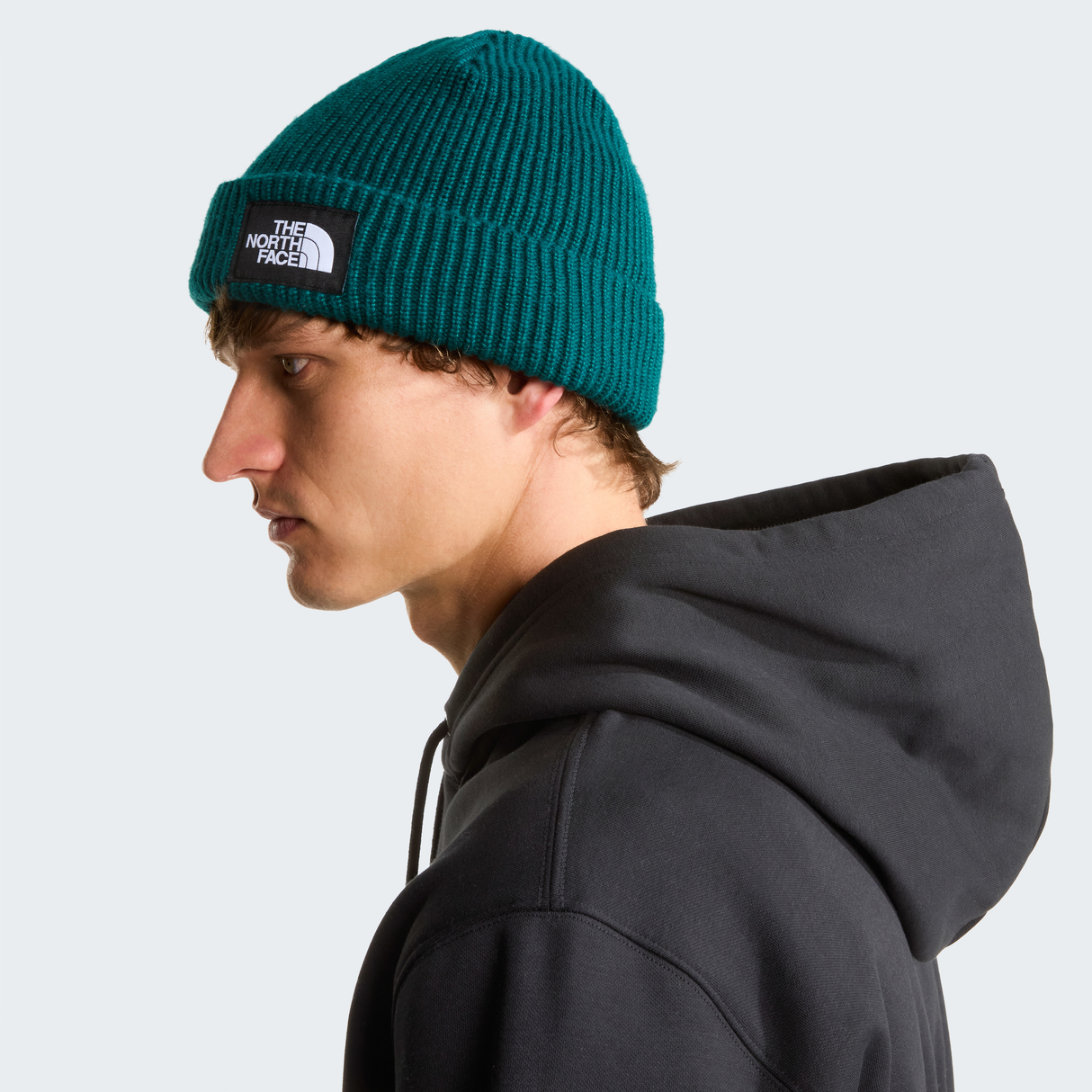 tnf_asset:NF0A8CGZN4J-ALT3