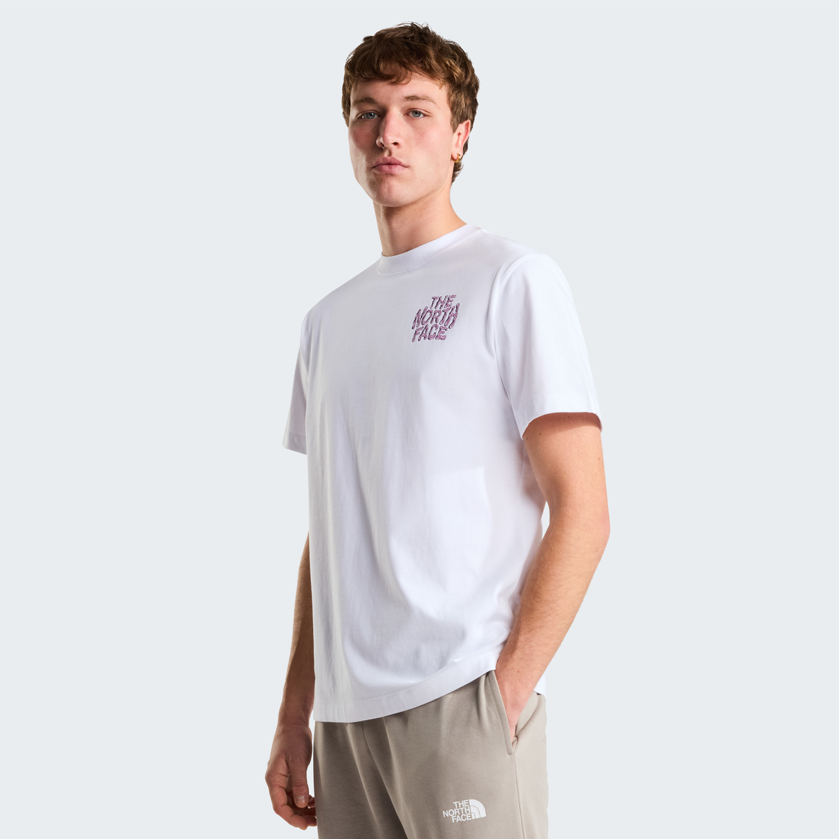 tnf_asset:NF0A8GABFN4-ALT1