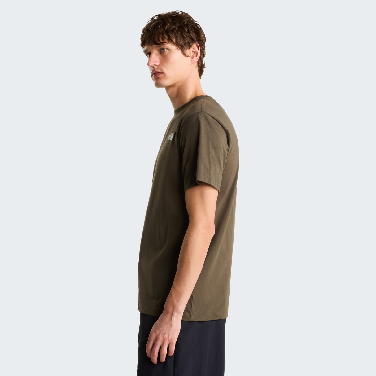 tnf_asset:NF0A8GV221L-ALT3
