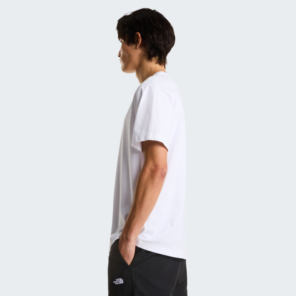 tnf_asset:NF0A8G9FFN4-ALT3