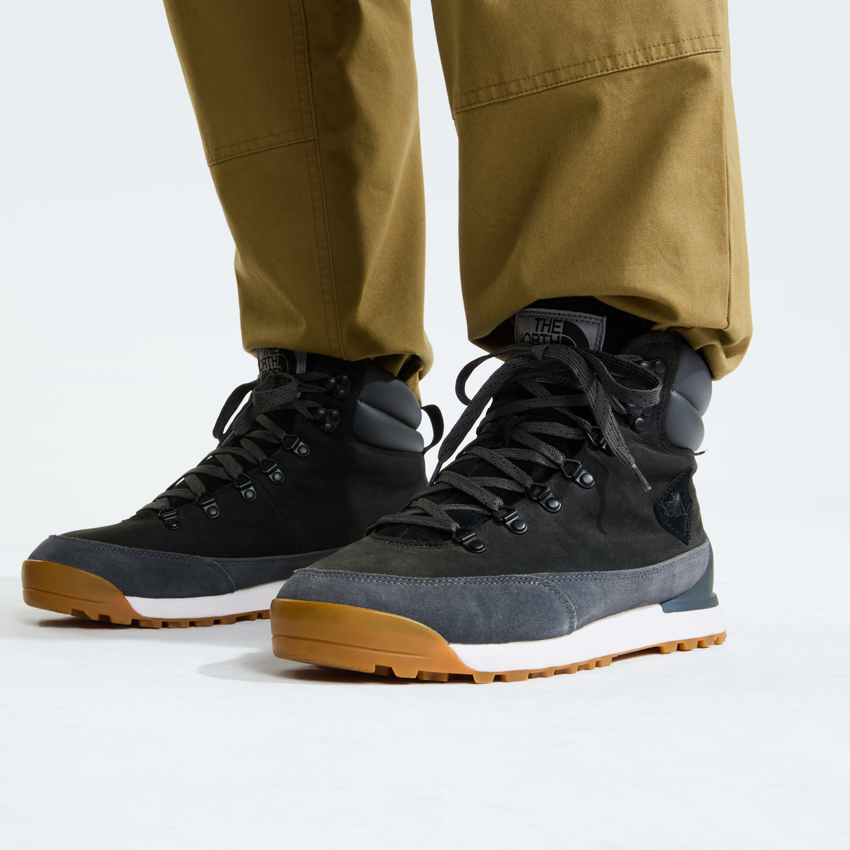 tnf_asset:NF0A817QKT0-ALT2