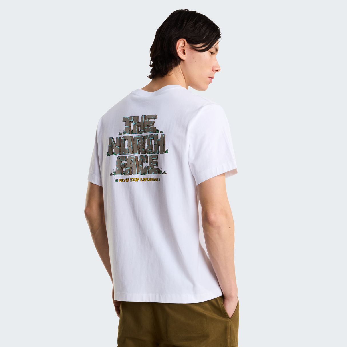 tnf_asset:NF0A8JBEFN4-ALT2
