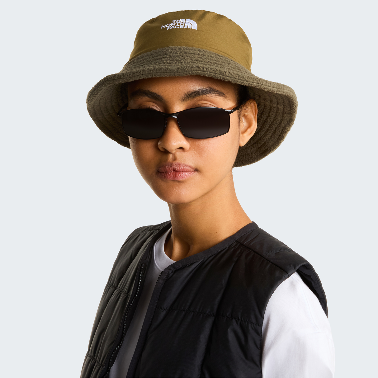 tnf_asset:NF0A8CHTRL2-ALT1